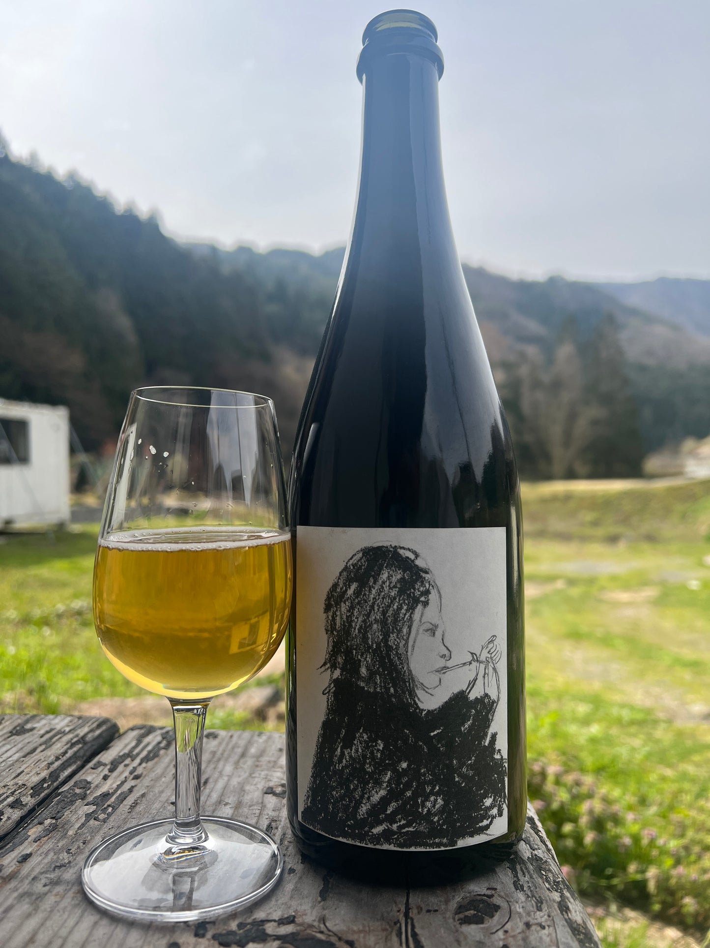 サワーエール[S-12]